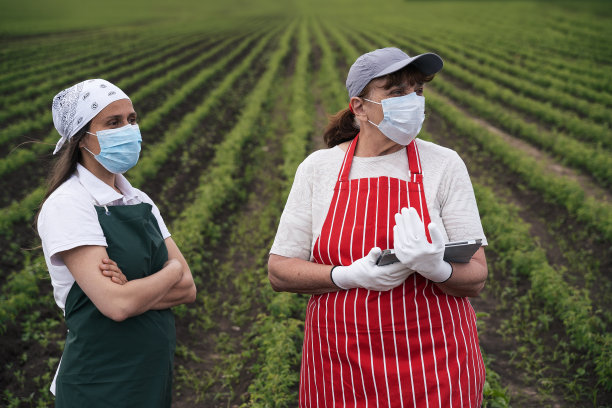 农民家庭在耕地上检查玫瑰种植园新苗的照片。在新冠肺炎大流行期间开展工作。农业职业。家族企业。图片下载