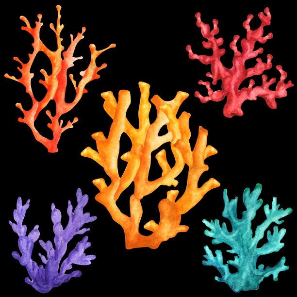水彩珊瑚组图片下载