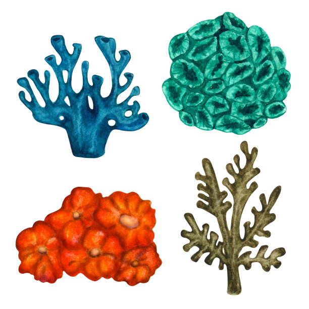 水彩珊瑚组图片下载
