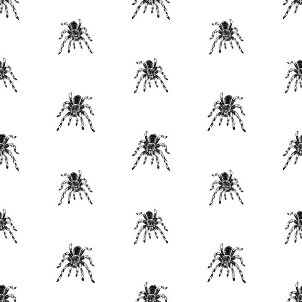 无缝矢量背景绘制有毒蜘蛛图片下载