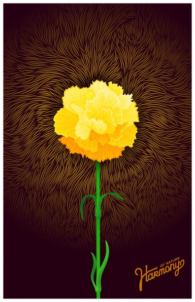 多汁的康乃馨嫩芽开花。只是细密而优雅的一朵花。矢量设计图片下载