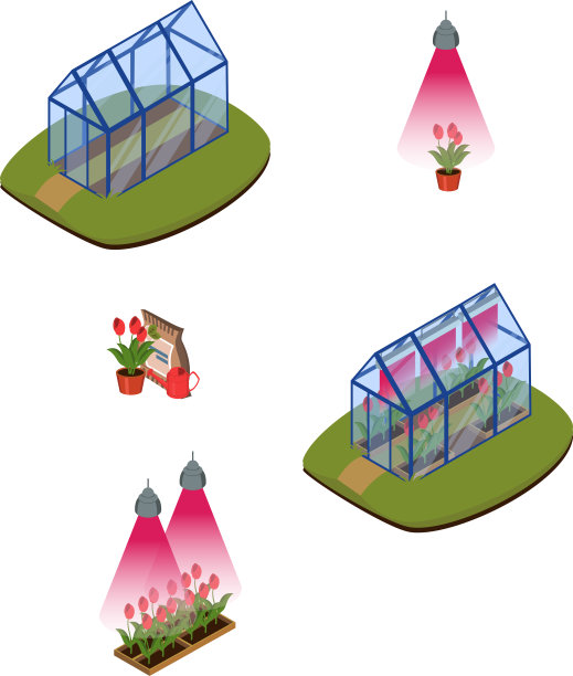 温室以幼苗颜色为背景图片下载