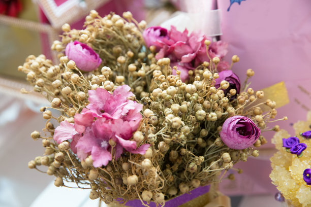 骆驼蓬，中草药，中草药，药用植物。晒干的哈尔马在展出。粉红色的花。晒干的骆驼蓬被挂在家里或车上。图片下载