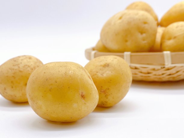 土豆图片下载