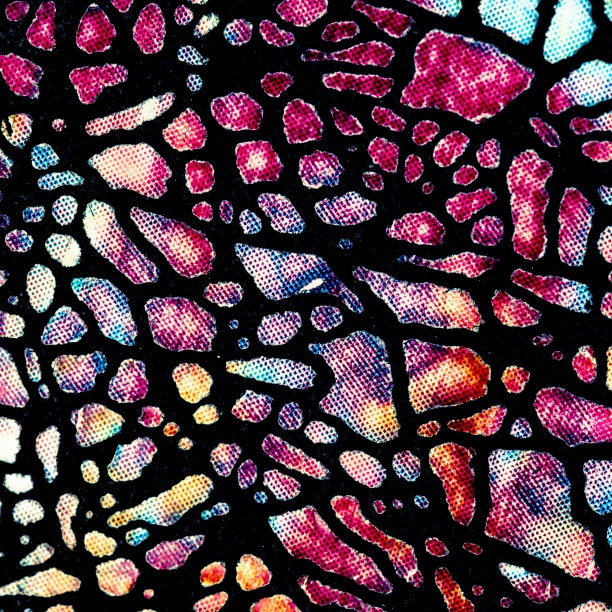 蛇的图案，色彩饱满，豹的效果图片下载