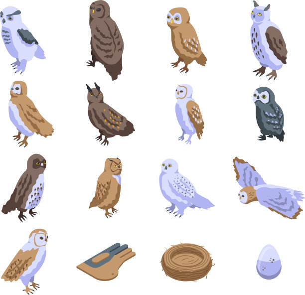 猫头鹰图标设置等距风格图片下载