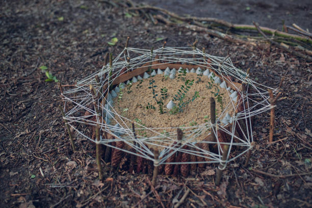 大自然的艺术图片下载