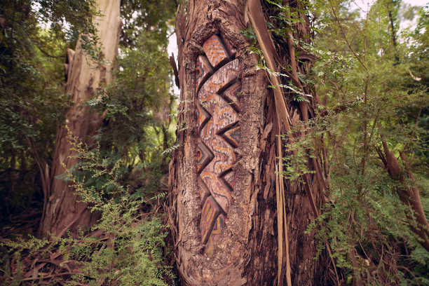自然艺术人造图片下载