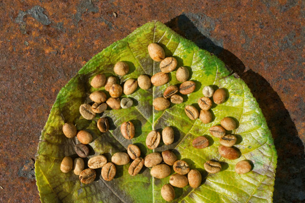 绿叶咖啡豆的背景图片下载