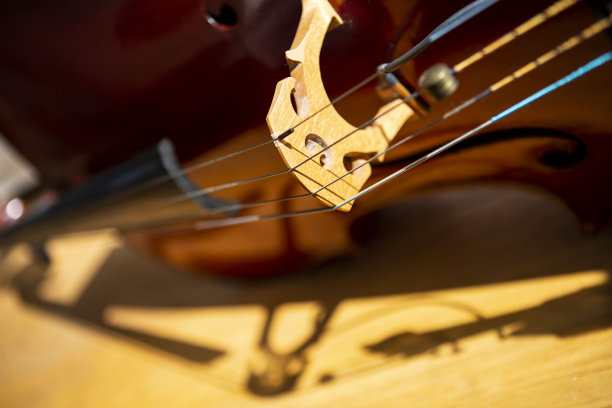 木地板上大提琴的影子图片下载