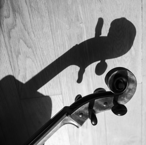 木地板上大提琴的影子图片下载