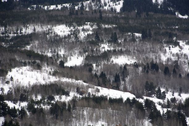 冬天Kizilcahamam图片下载