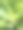 有刺的绿色植物图片下载