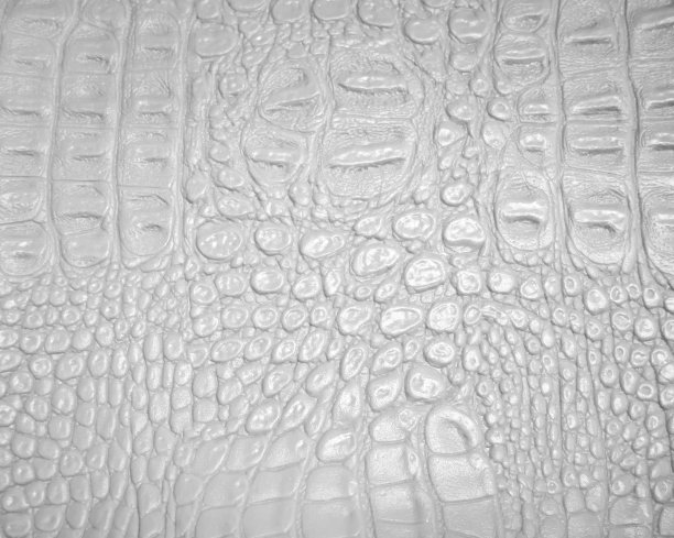 白色的人造皮革。家具和室内设计样品图片下载