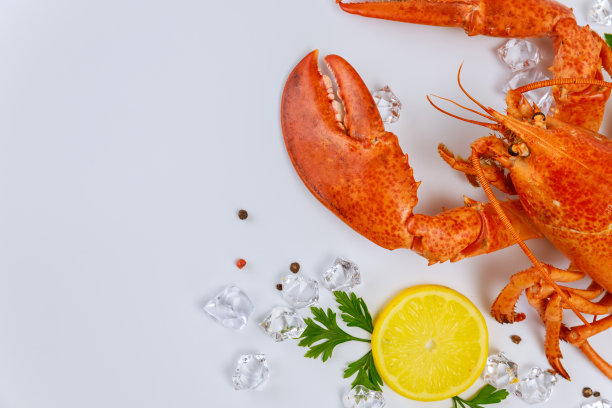 美味的龙虾蟹与大爪在白色的背景。图片下载