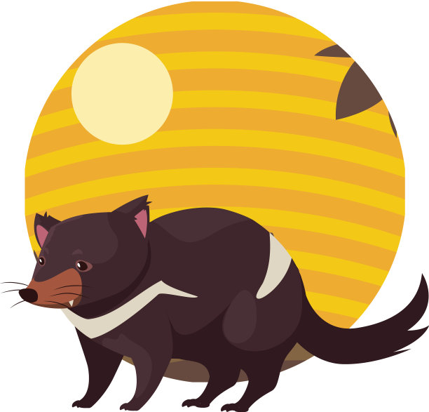 澳洲袋獾的背景图片下载