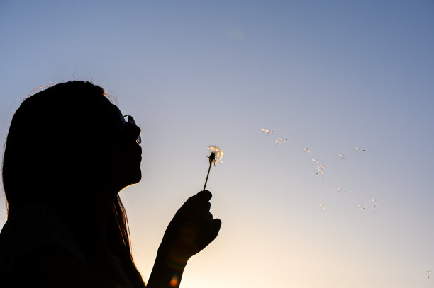 年轻的嬉皮女孩吹蒲公英在股票照片图片下载