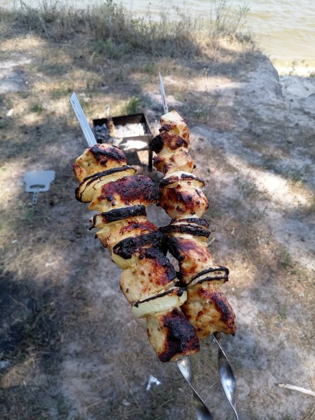 森林里的烧烤架图片下载