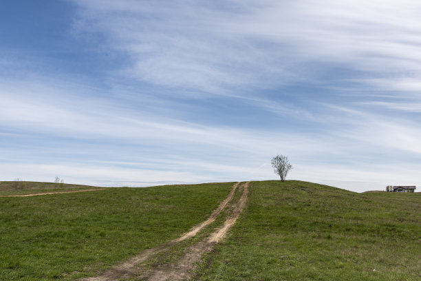 列宁格勒地区Suoranda村附近的田地图片下载