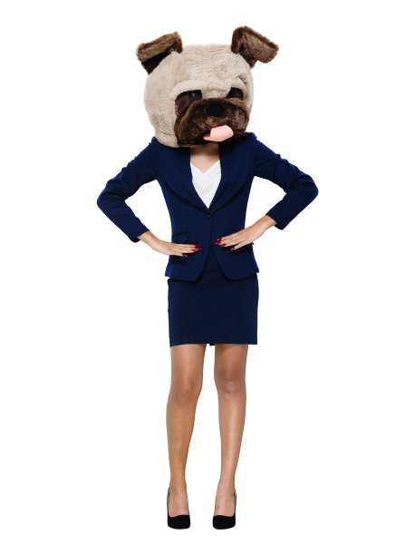 拉丁美洲和西班牙裔的年轻女商人站在白色背景穿着狗服图片下载