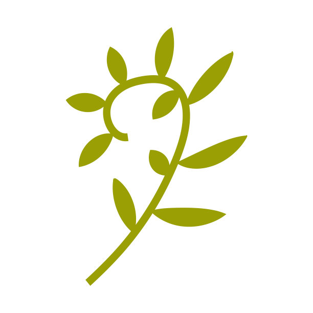 Stock Vector Graphics绿色分支的蔓藤。热带带叶的小枝。白色背景上的外来植物。t恤印花、印花设计、平贴设计、贴纸、平贴设计。图片下载