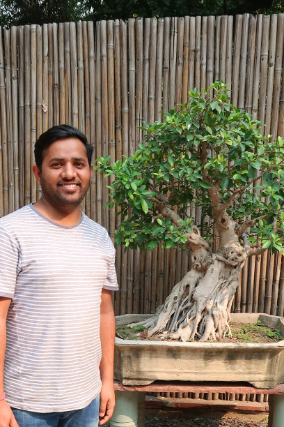 一名英俊的印度男子站在花园中铺成的庭院中，以盆景树为底座展示日本元素图片下载