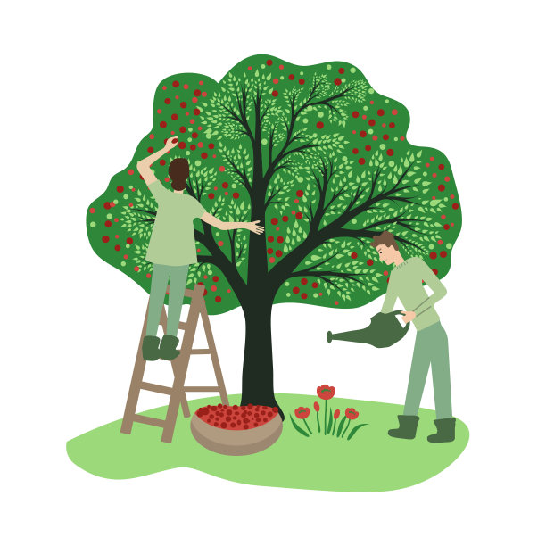 花园的插图图片下载