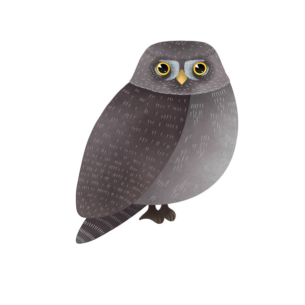 可爱猫头鹰的插图。多色猫头鹰孤立在白色背景。图片下载