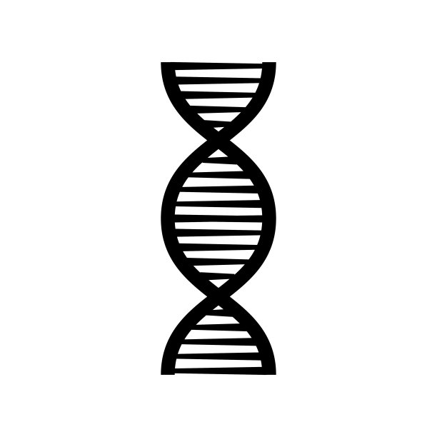 DNA黑色结构分子，染色体图标。平坦中的孤立向量图片下载