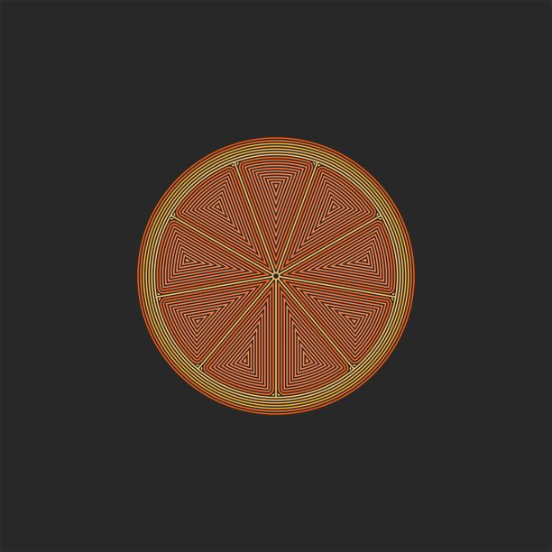 橘子水果切成两半的创意线形食物插图，柑橘横截面的图案由细线勾勒而成图片下载