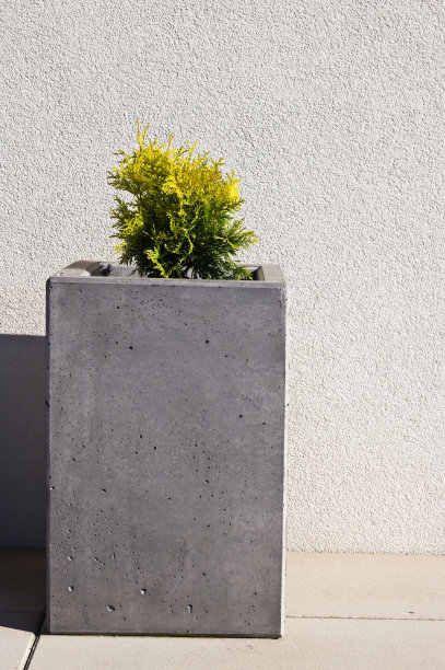 一所房子前廊上的现代混凝土花盆图片下载