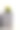 一所房子前廊上的现代混凝土花盆图片下载