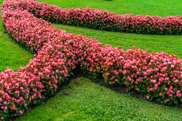 奥地利萨尔茨堡著名的米拉贝尔花园和历史要塞图片下载