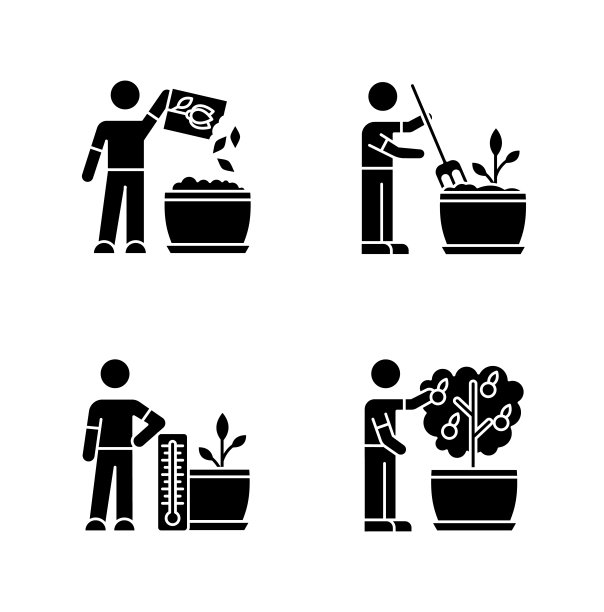 室内园艺过程黑色字形图标设置在白色空间。种植种子传播。起毛,耕作土壤。调节温度条件。轮廓符号。向量孤立的插图图片下载
