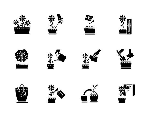室内植物护理黑色字形图标设置在白色空间。国内植物栽培。报告中,喷洒植物。种植种子。浇水,施肥。轮廓符号。向量孤立的插图图片下载