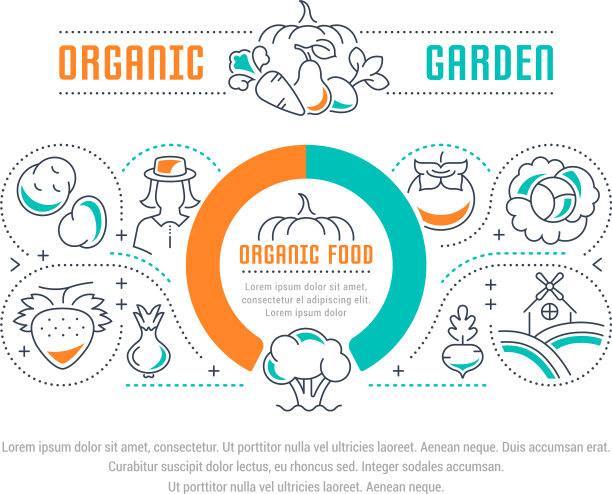 网站横幅和登陆页有机食品图片下载