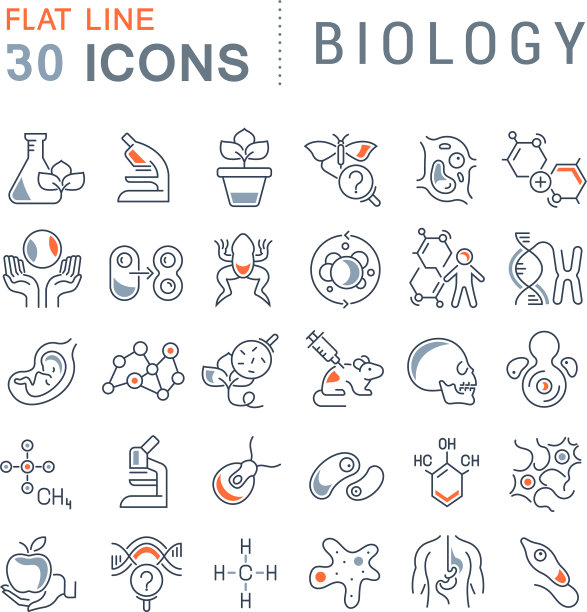 设置线条图标生物图片下载