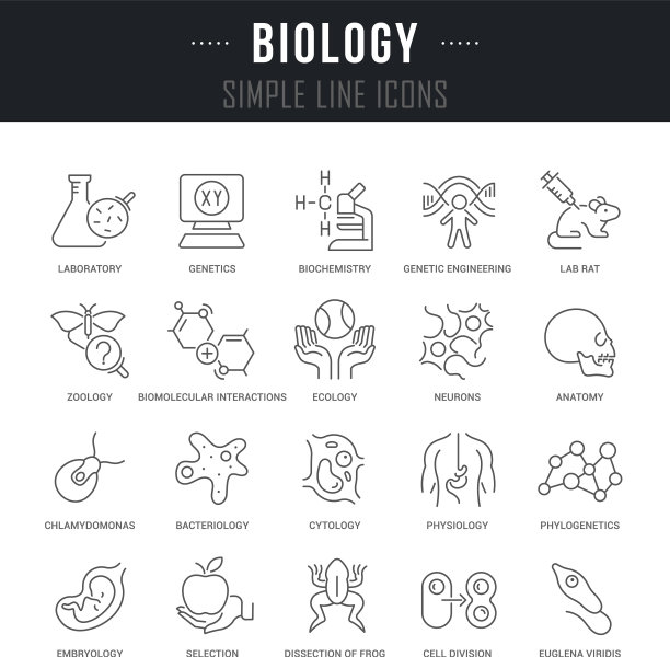 设置线条图标生物图片下载