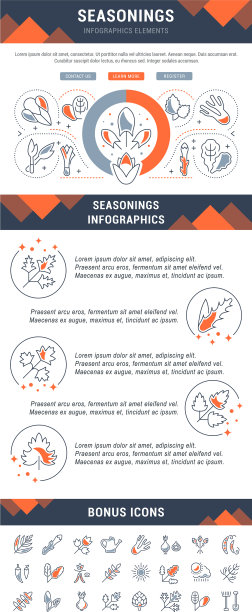 网站横幅和登陆页调味料图片下载