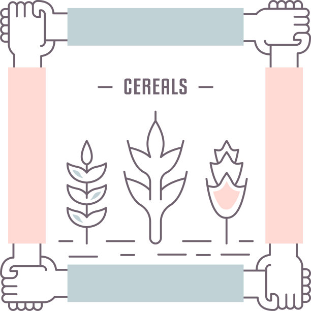 网站横幅和登陆页谷物图片下载