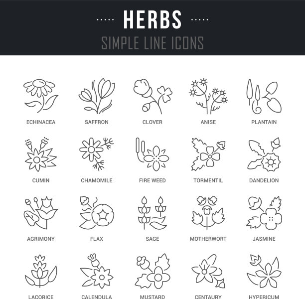 设置线条图标图片下载