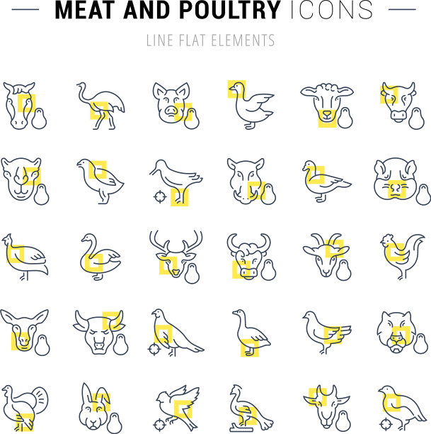 肉类和家禽线性图标集图片下载