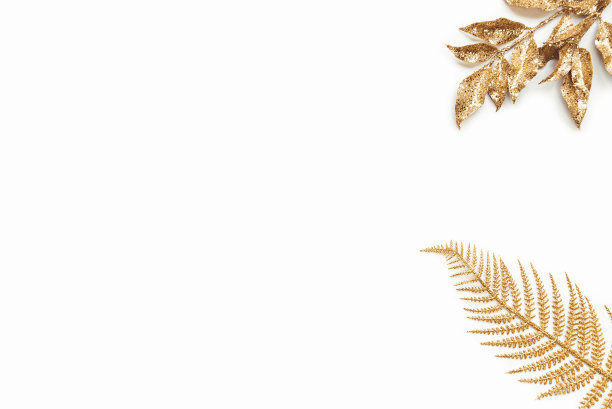金色的月桂和蕨叶在白色的背景。副本的空间。图片下载