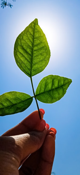 手捧一片蓝天图片下载