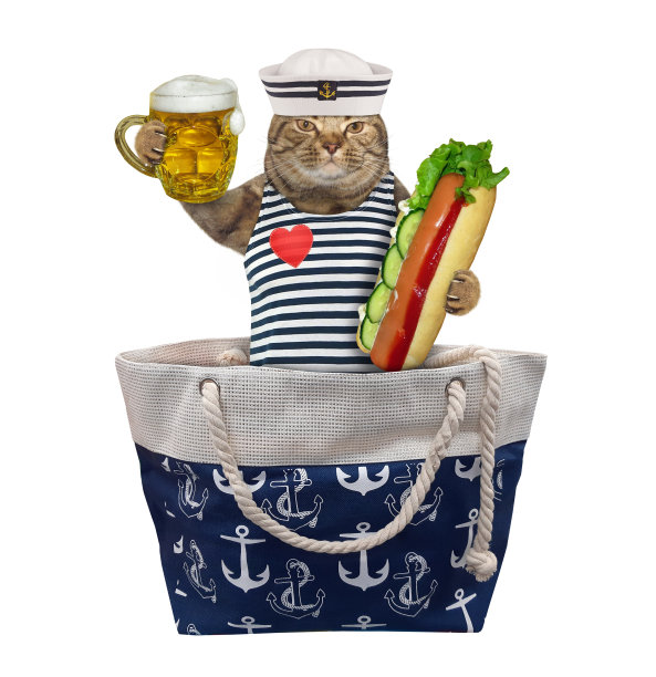 袋子里装着啤酒和热狗的猫图片下载