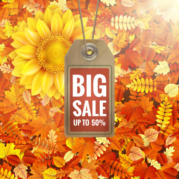 向日葵在秋天的树叶与销售标签。每股收益10图片下载