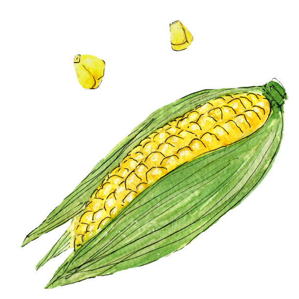 手部疼痛，红色黄色玉米图片下载