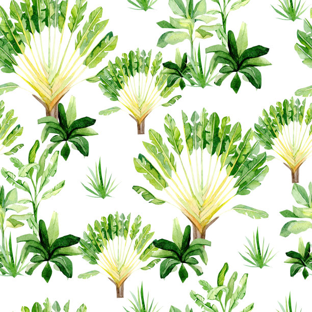 水彩热带植物和树木无缝图案。非洲夏季儿童丛林背景，大草原图案为包装纸，纺织面料，墙纸装饰图片下载