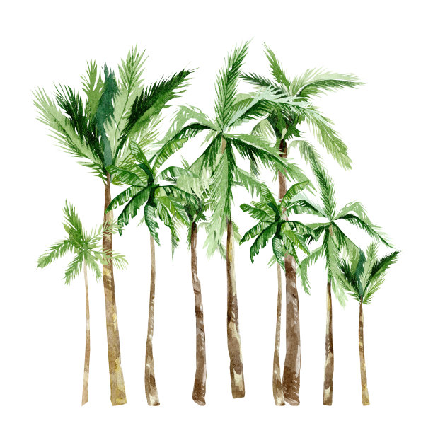 水彩画热带树木，海边海岸。非洲夏季棕榈树丛林大草原插图为旗帜，框架，边界，标志，贺卡，派对卡，婚礼邀请，宝贝图片下载