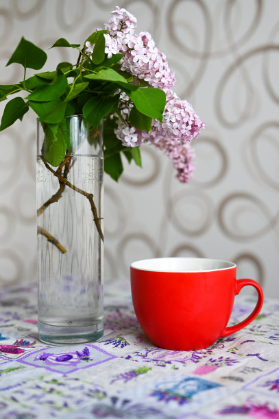 红色马克杯，花瓶旁边有植物图片下载